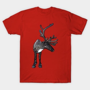 Santa Claus Reindeer T-Shirt